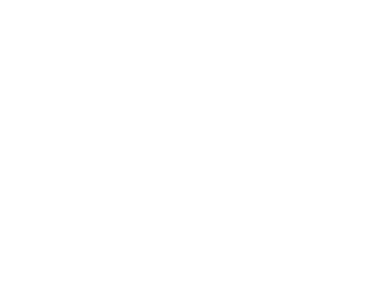 ALGO NODE TRADE mark